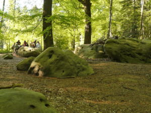 Kirsten-Evenschor-20110425-164742-31