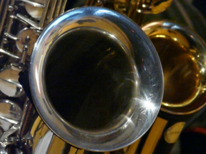 Salsae Mentes