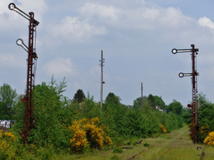 Auf-dem-Lehrpfad-Raeren-20160528-140116-02