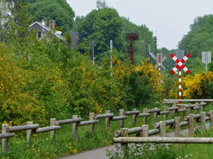 Auf-dem-Lehrpfad-Raeren-20160528-140332-04