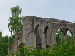 Auf-dem-Lehrpfad-Raeren-20160528-143208-13