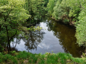 Auf-dem-Lehrpfad-Raeren-20160528-145338-20