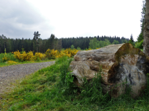 Auf-dem-Lehrpfad-Raeren-20160528-150556-30