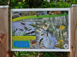 Auf-dem-Lehrpfad-Raeren-20160528-151718-33