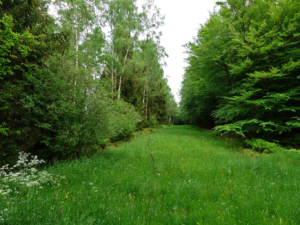 Auf-dem-Lehrpfad-Raeren-20160528-153128-34