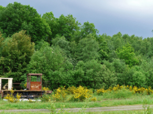 Auf-dem-Lehrpfad-Raeren-20160528-155046-38