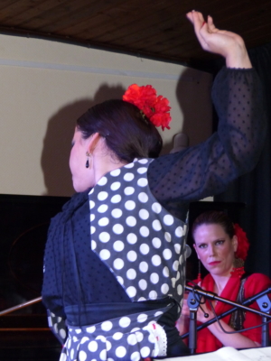 Grupo-Flamenco-Pablo-Escudero-20170127-212734-084