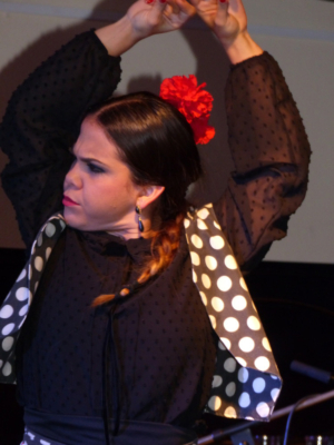 Grupo-Flamenco-Pablo-Escudero-20170127-212756-087
