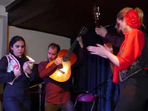 Grupo-Flamenco-Pablo-Escudero-20170127-221914-142
