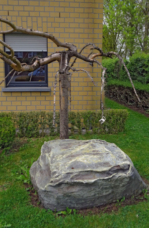 250504-Kraft-Margraff-01
